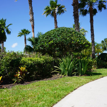 Outdoor Living Spaces