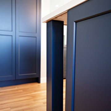 Modern Transitional Kitchen Encinitas