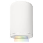 WAC Lighting - Tube Architectural 5" LED Color Changing Flush Mount Spot Beam, White - The ilumenight Tube Architecture features a state of the art LED color changing technology controlled through an IOS app. ilumenight Bluetooth enabled � Through the free IOS ilumenight app, you can control the color and brightness of your lights all with the touch of a finger on your smartphone or tablet device. Precise engineering using the latest energy efficient LED technology with a built-in reflector for superior optics; An appealing cylindrical profile perfect for accent and wall wash lighting.