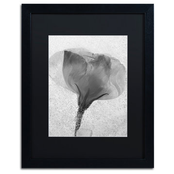 'Flowers on Ice BW-2' Matted Framed Canvas Art by Moises Levy