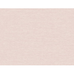AStreet Prints Agave Light Pink Faux Grasscloth Wallpaper Sample  404626498SAM  The Home Depot