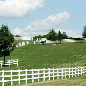 Equestrian