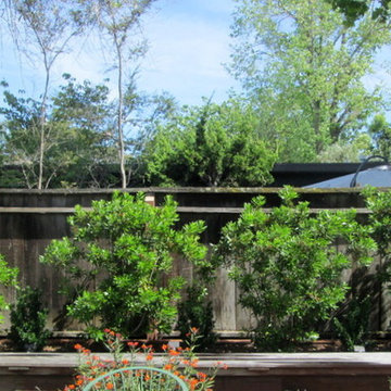 Stewart Family Garden