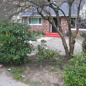 New Westminster S/S Before