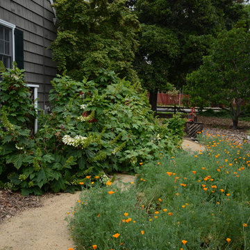 2016 Gamble Garden Tour - Stanford