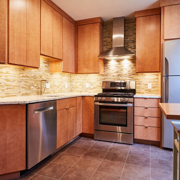 Contemporary Kitchen Remodel