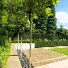 Front Lawn
