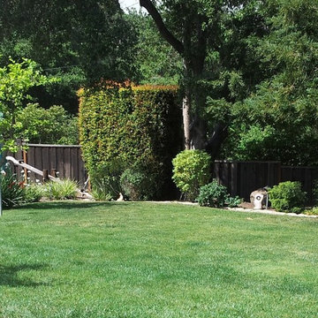 Redwood Garden & Lawn Replacement