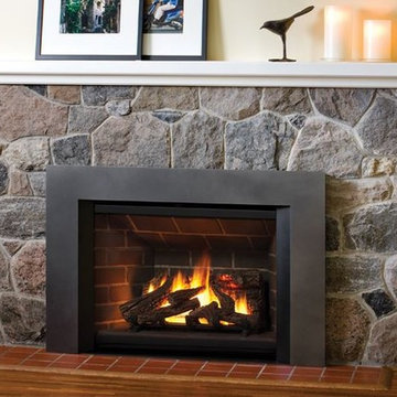 Contemporary Fireplace Inserts
