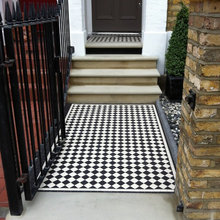 Front Steps And Path
