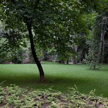 Restauro del Parco Chigi di Ariccia