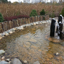 Landscape Ideas