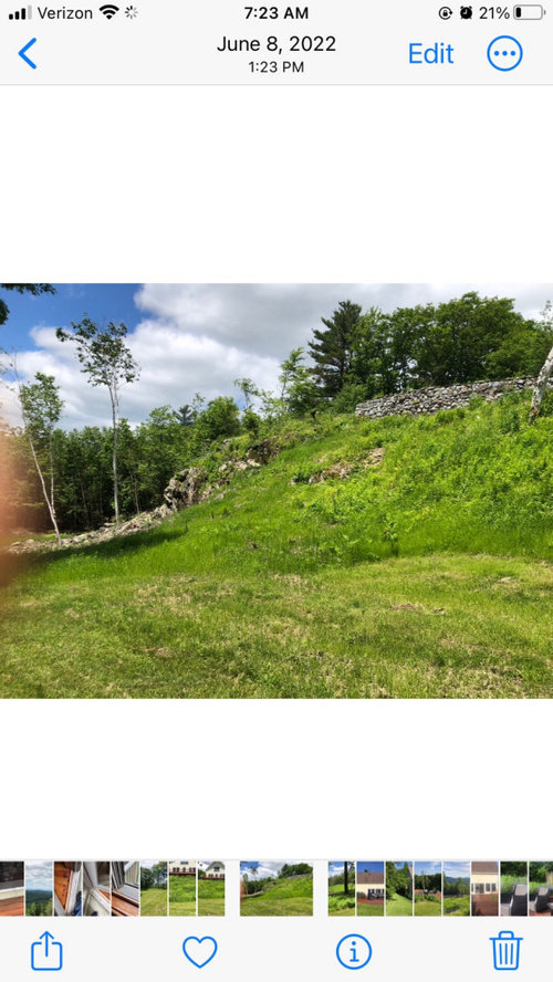 creeping thyme for Zone 5B rocky slope?