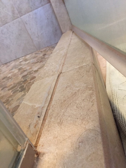 Frameless Shower Door Gap