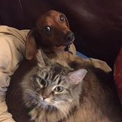 Liz Faron's photo