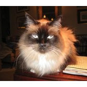 Anne W. Tunstall's photo