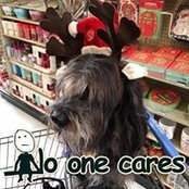 Dianne Brady's photo