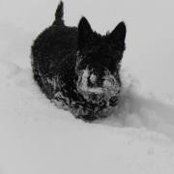 Tracy Childs's photo