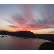 Jo Myers's photo