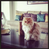 Radhika Rangachar's photo