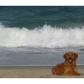 Sue Pier's photo
