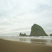 Holley Nielsen's photo