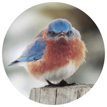 Andreas Mad Bluebird Trivet, 8" Round