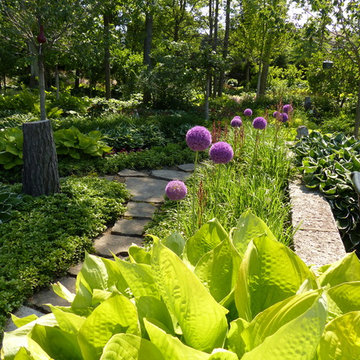 Northbrook Illinois Shade Garden in June