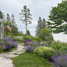 sandy hill plants
