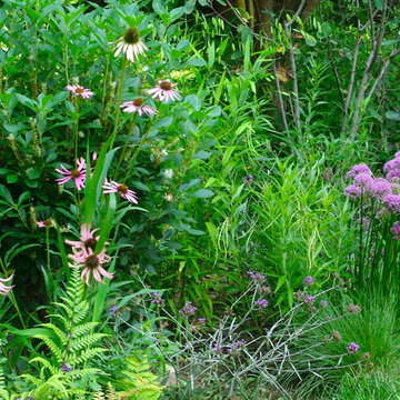 Prospect Heights, Brooklyn Backyard