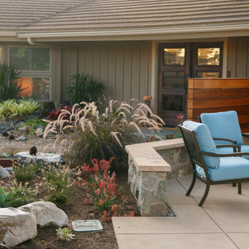 Tropical Artistry Oasis