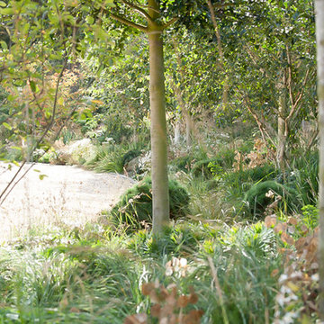 Hertfordshire country garden
