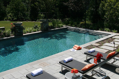 Design ideas for a traditional pool in DC Metro.
