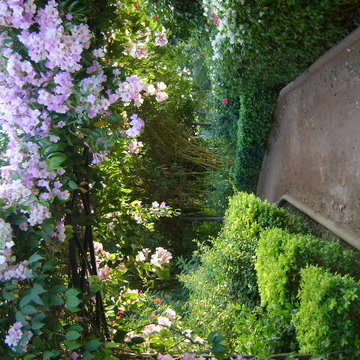 Landscape Design Zaveri & Co.