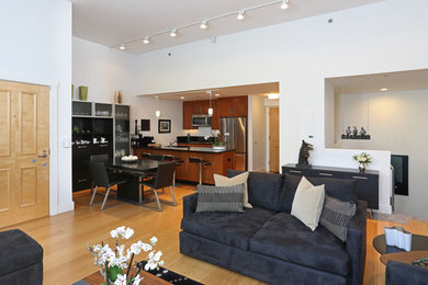 Inspiration for a contemporary living room remodel in Boston