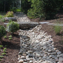 Landscape Ideas