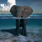 Pauline Tera's photo