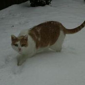 Rhoda Rien's photo