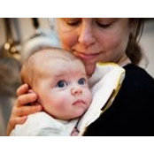 Carol Pollack's photo