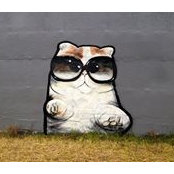 Matt Newell's photo