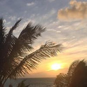 Foto von Denise Schwarzman