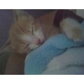 Mary Beth Milewski's photo