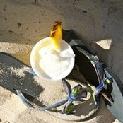 Foto von Vanessa Cormack