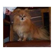 Jackie Aeschliman's photo