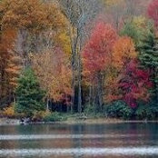 Ellyn Salkin's photo