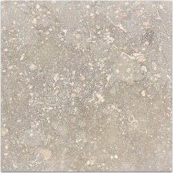 Silver Flower CC Travertine Tiles - Wall And Floor Tile