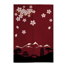 Door curtains