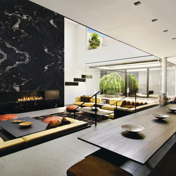 Living Rooms/Fireplaces