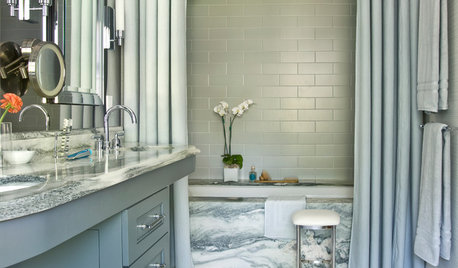 Bathroom Conundrum: A Shower Curtain or a Shower Door?