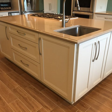 Large Mount Prospect Remodel